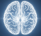 MikeGPT Brain Logo